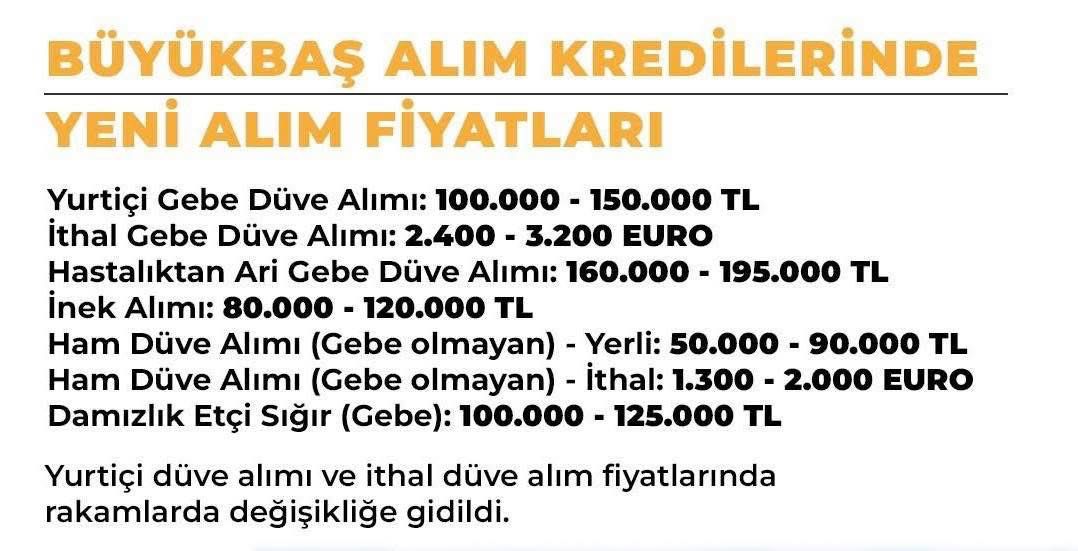 Yeni Alım Fiyatları